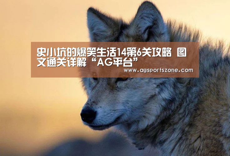 史小坑的爆笑生活14第6关攻略 图文通关详解“AG平台”(图3) AG官网