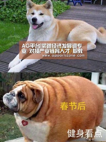 AG旗舰厅