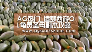 AG热门_造梦西游OL龟灵圣母副本攻略 龟灵圣母情报资料(图4) AG热门