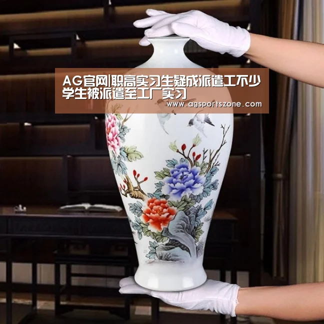 AG官网|职高实习生疑成派遣工不少学生被派遣至工厂实习(图3) AG官网